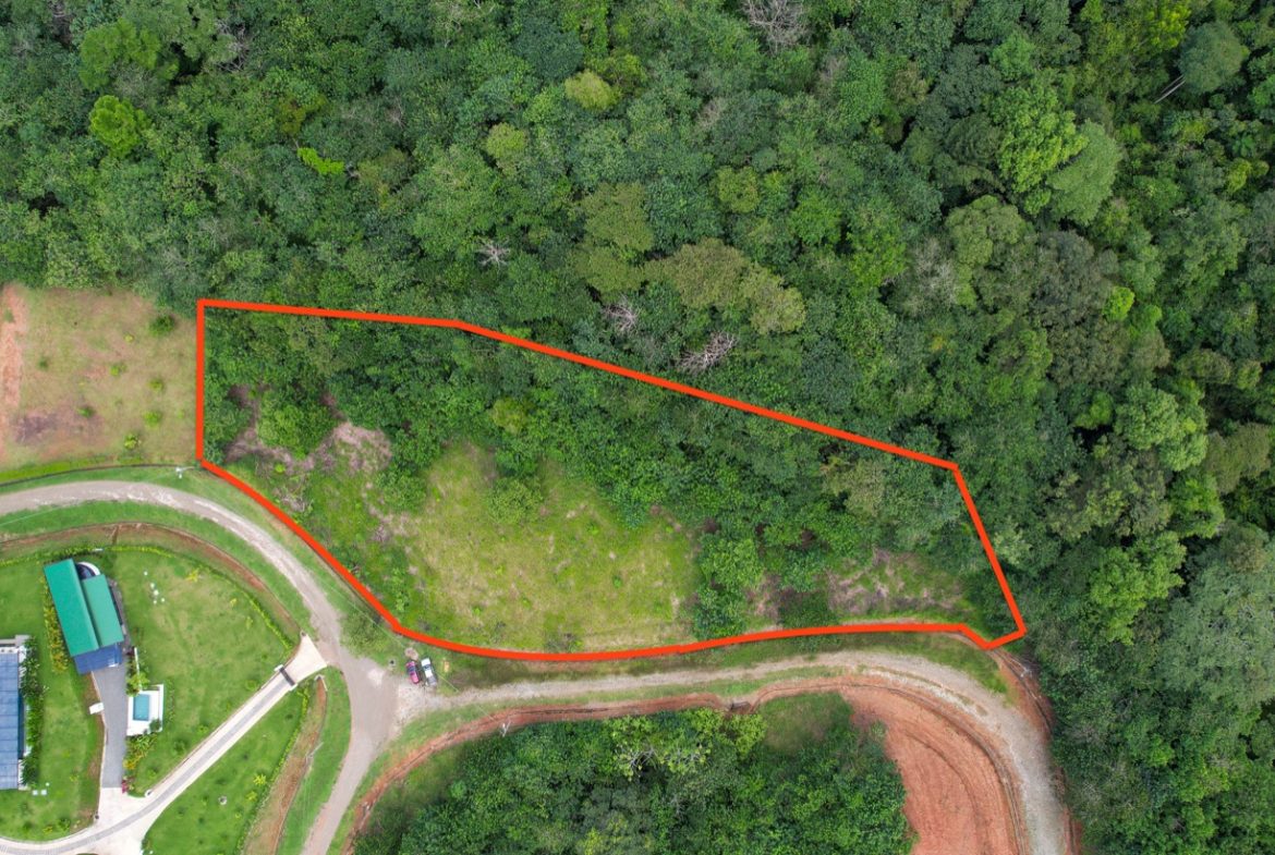 BUILDING PROPERTY WITH PUBLIC ROAD IN FRONT, IN OJOCHAL – 1.85 ACRES