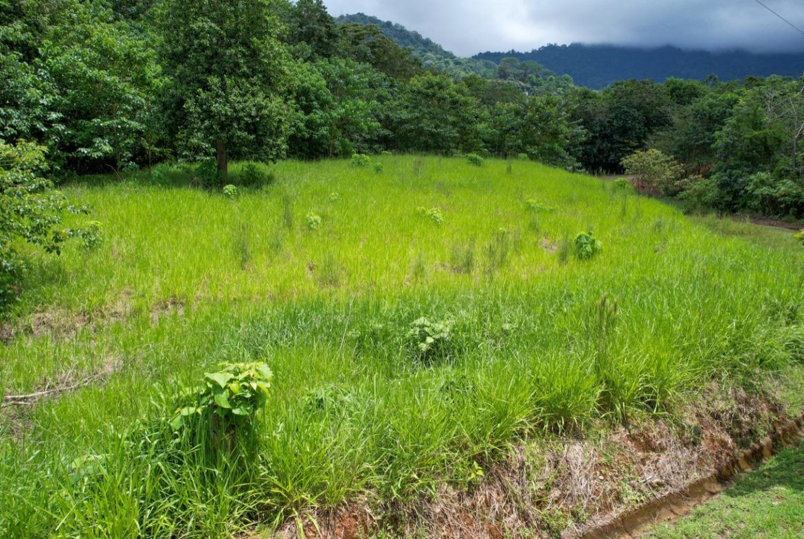 BUILDING PROPERTY WITH PUBLIC ROAD IN FRONT, IN OJOCHAL – 1.85 ACRES
