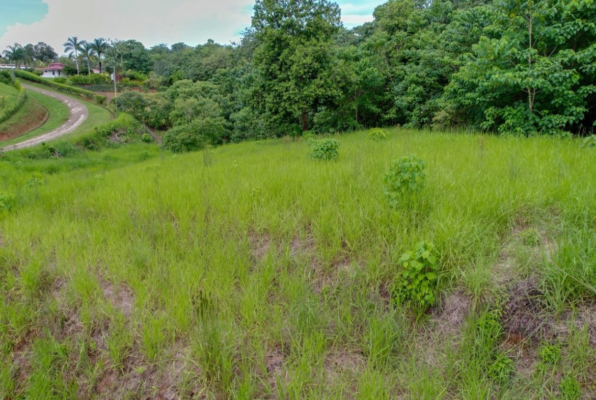 BUILDING PROPERTY WITH PUBLIC ROAD IN FRONT, IN OJOCHAL – 1.85 ACRES