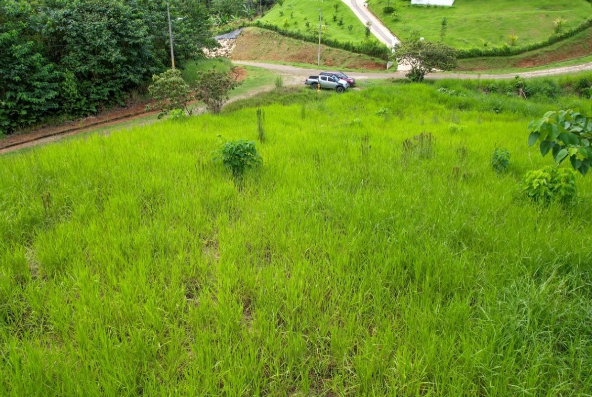BUILDING PROPERTY WITH PUBLIC ROAD IN FRONT, IN OJOCHAL – 1.85 ACRES