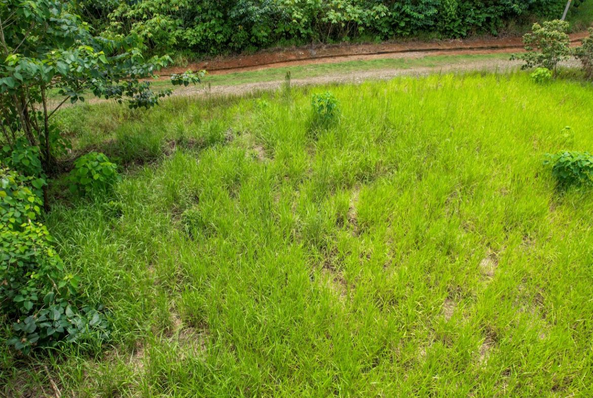 BUILDING PROPERTY WITH PUBLIC ROAD IN FRONT, IN OJOCHAL – 1.85 ACRES