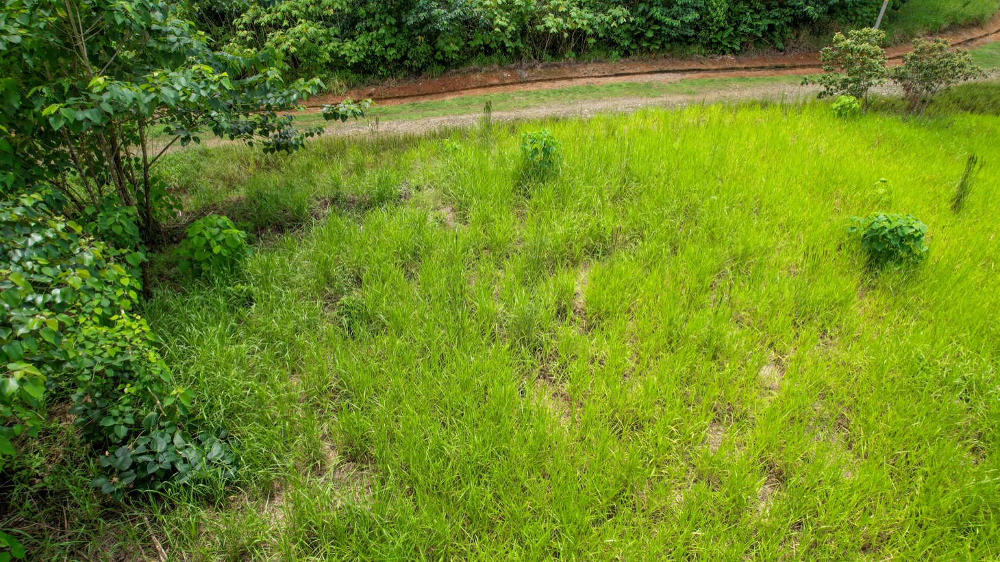 Property For Sale in Ojochal Costa Rica