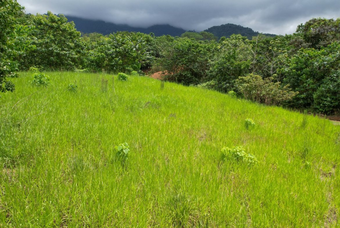 BUILDING PROPERTY WITH PUBLIC ROAD IN FRONT, IN OJOCHAL – 1.85 ACRES