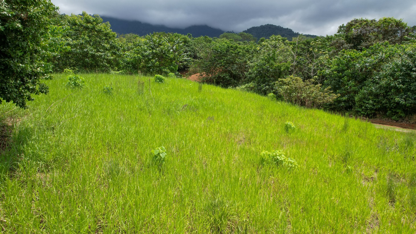 Property For Sale in Ojochal Costa Rica