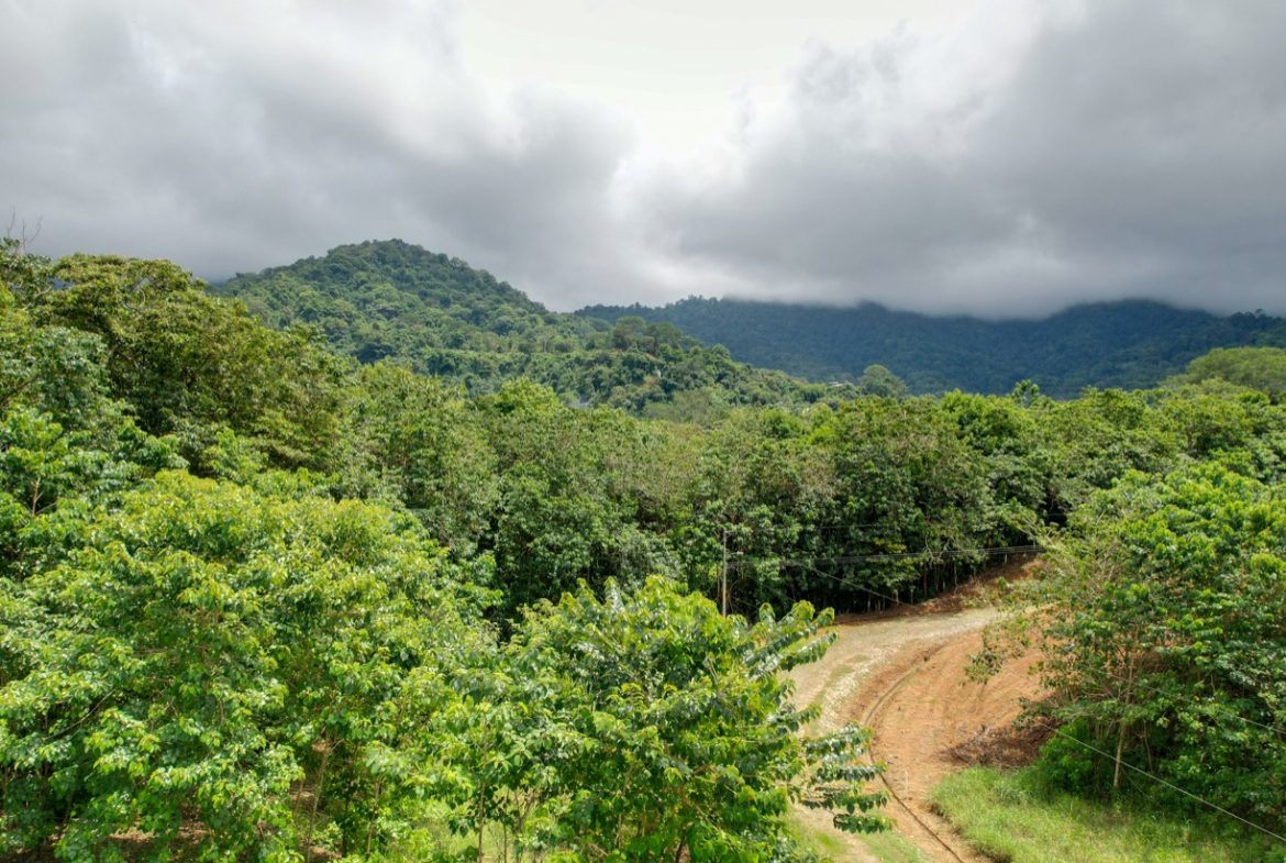 BUILDING PROPERTY WITH PUBLIC ROAD IN FRONT, IN OJOCHAL – 1.85 ACRES