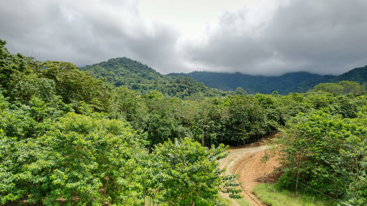 Property For Sale in Ojochal Costa Rica