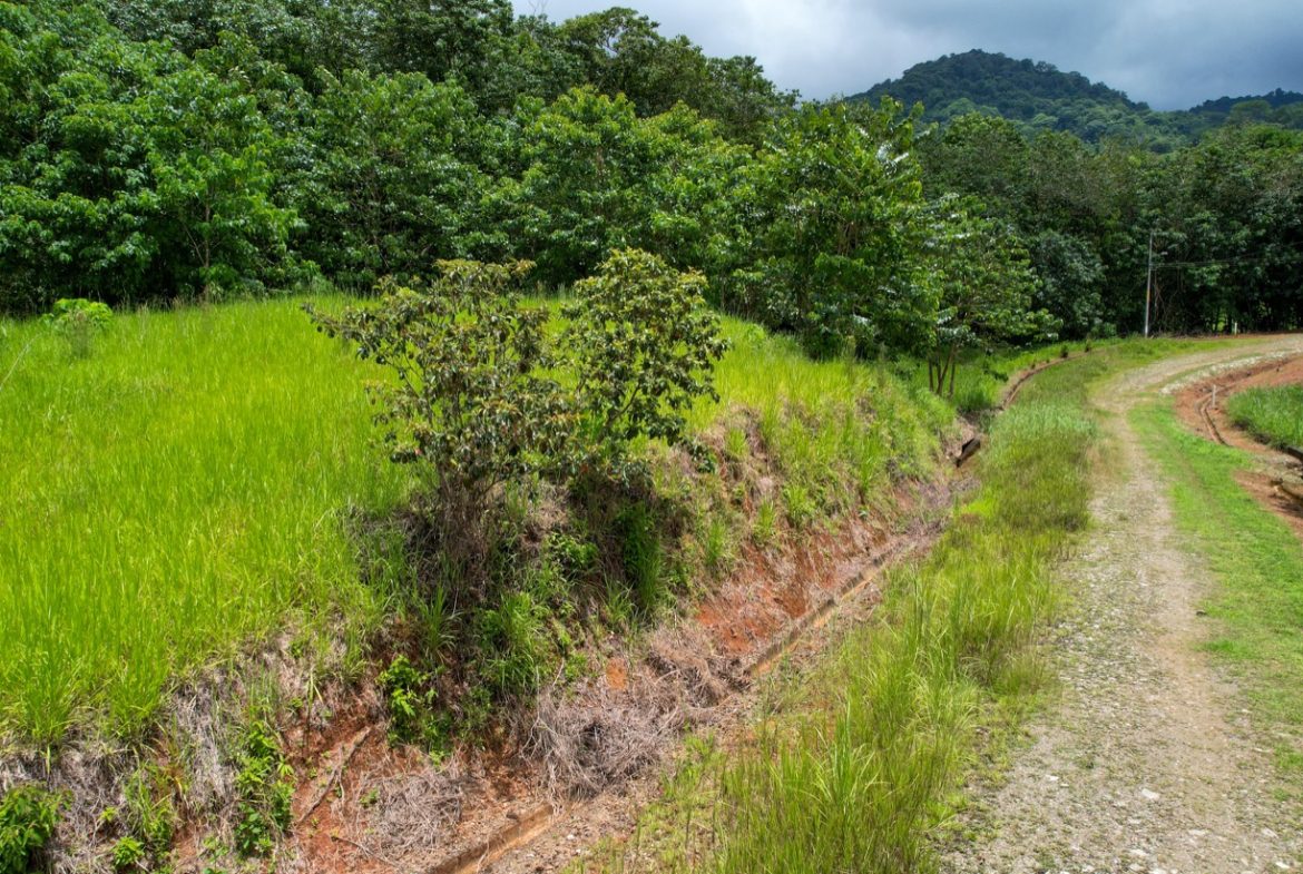 BUILDING PROPERTY WITH PUBLIC ROAD IN FRONT, IN OJOCHAL – 1.85 ACRES