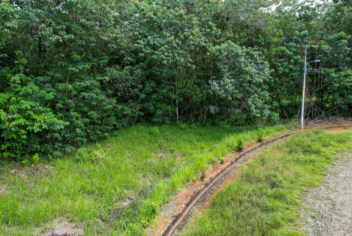 BUILDING PROPERTY WITH PUBLIC ROAD IN FRONT, IN OJOCHAL – 1.85 ACRES