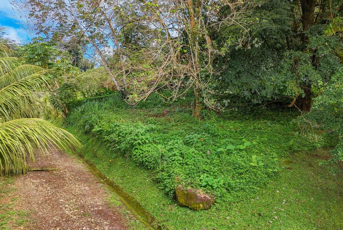 BUILDING PROPERTY WITH PUBLIC ROAD IN FRONT, IN TORTUGA ARRIBA – 0.16 ACRES