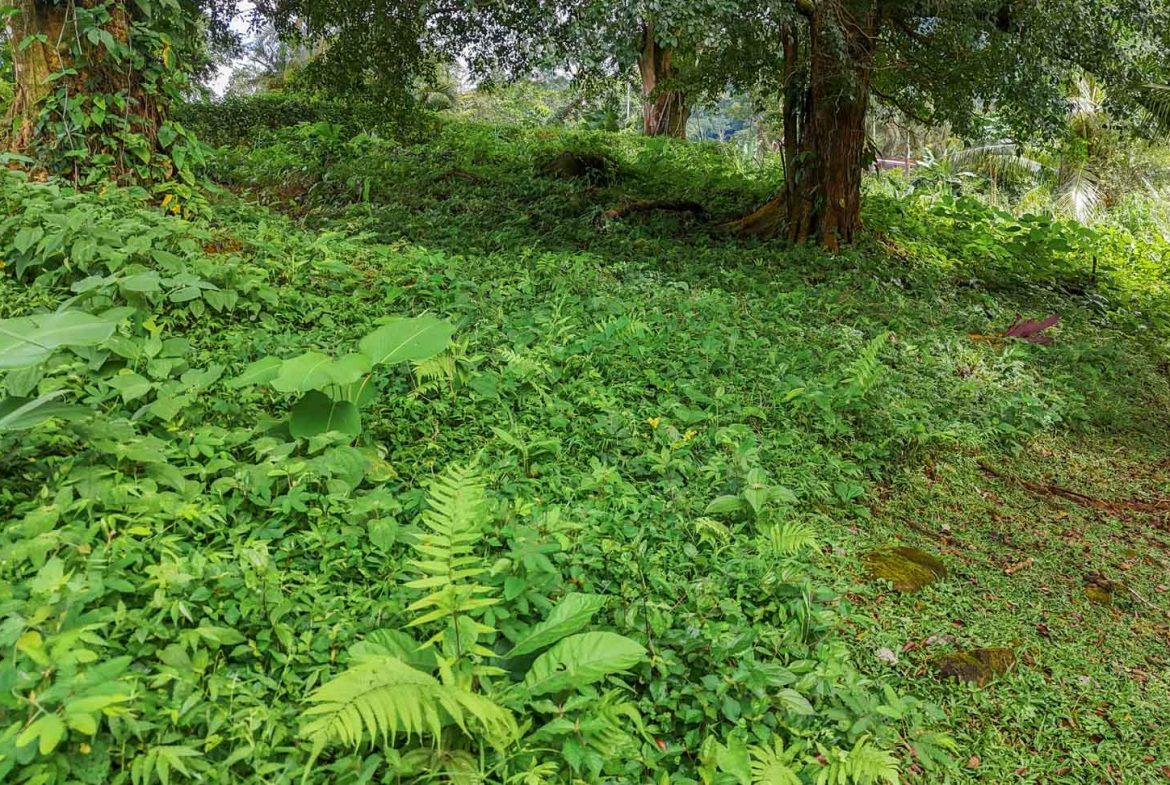 BUILDING PROPERTY WITH PUBLIC ROAD IN FRONT, IN TORTUGA ARRIBA – 0.16 ACRES