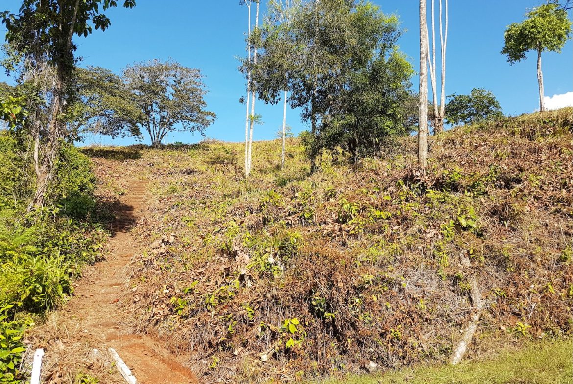 BUILDING PROPERTY WITH MOUNTAINS VIEWS, IN TORTUGA ARRIBA OJOCHAL – 1.14 ACRES