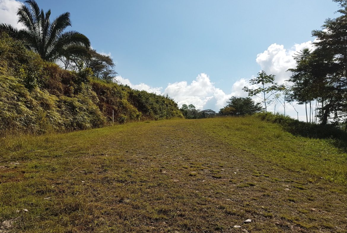 BUILDING PROPERTY WITH MOUNTAINS VIEWS, IN TORTUGA ARRIBA OJOCHAL – 1.14 ACRES