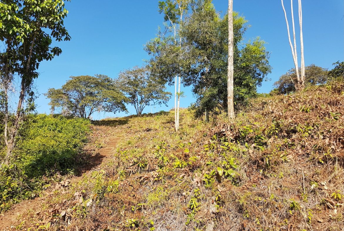 BUILDING PROPERTY WITH MOUNTAINS VIEWS, IN TORTUGA ARRIBA OJOCHAL – 1.14 ACRES