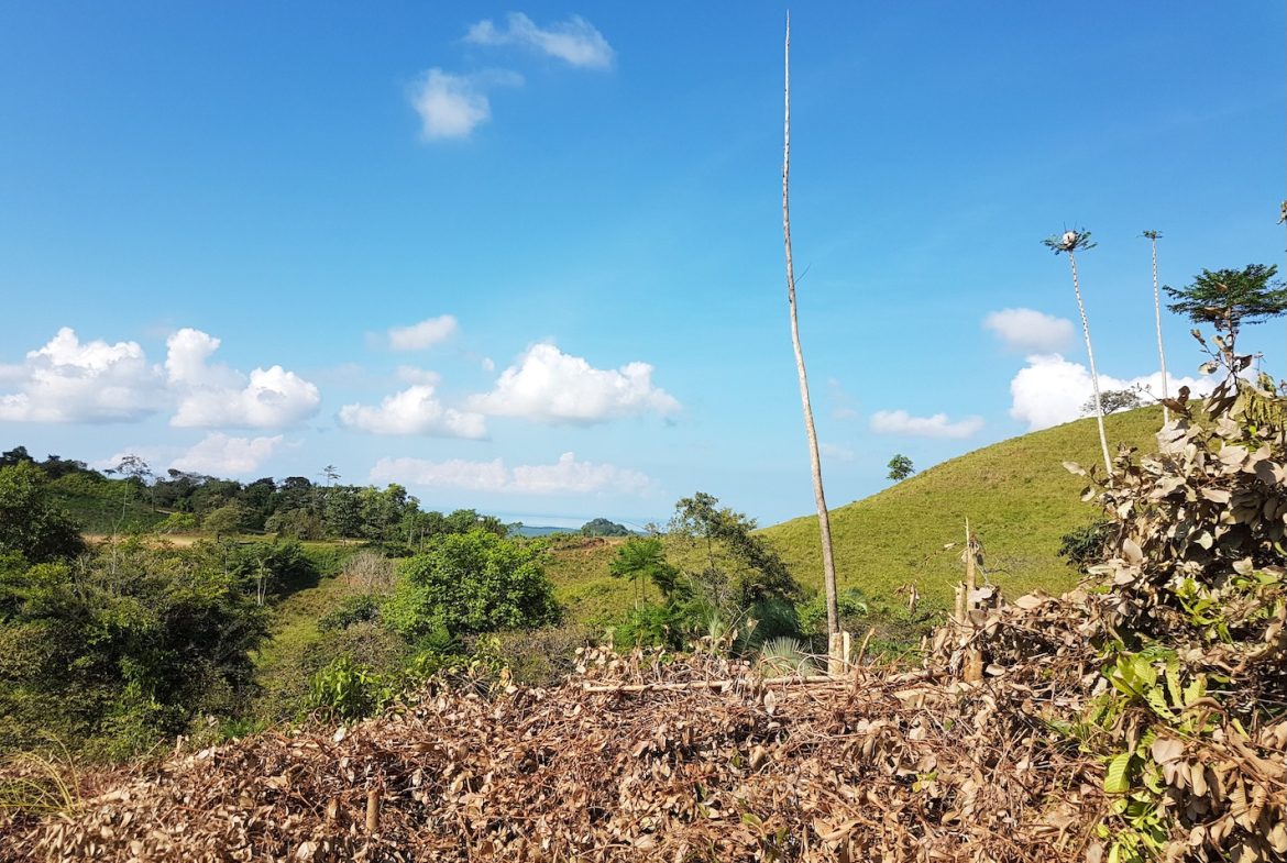 BUILDING PROPERTY WITH MOUNTAINS VIEWS, IN TORTUGA ARRIBA OJOCHAL – 1.14 ACRES