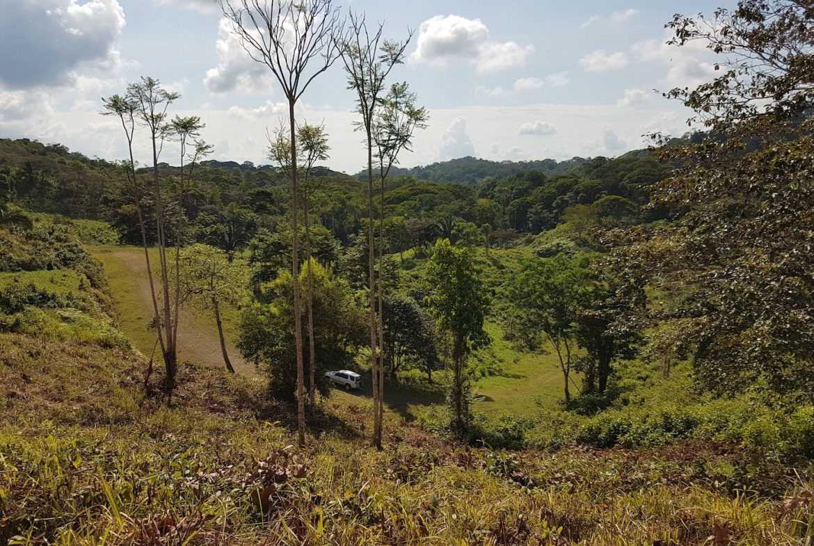 BUILDING PROPERTY WITH MOUNTAINS VIEWS, IN TORTUGA ARRIBA OJOCHAL – 1.14 ACRES