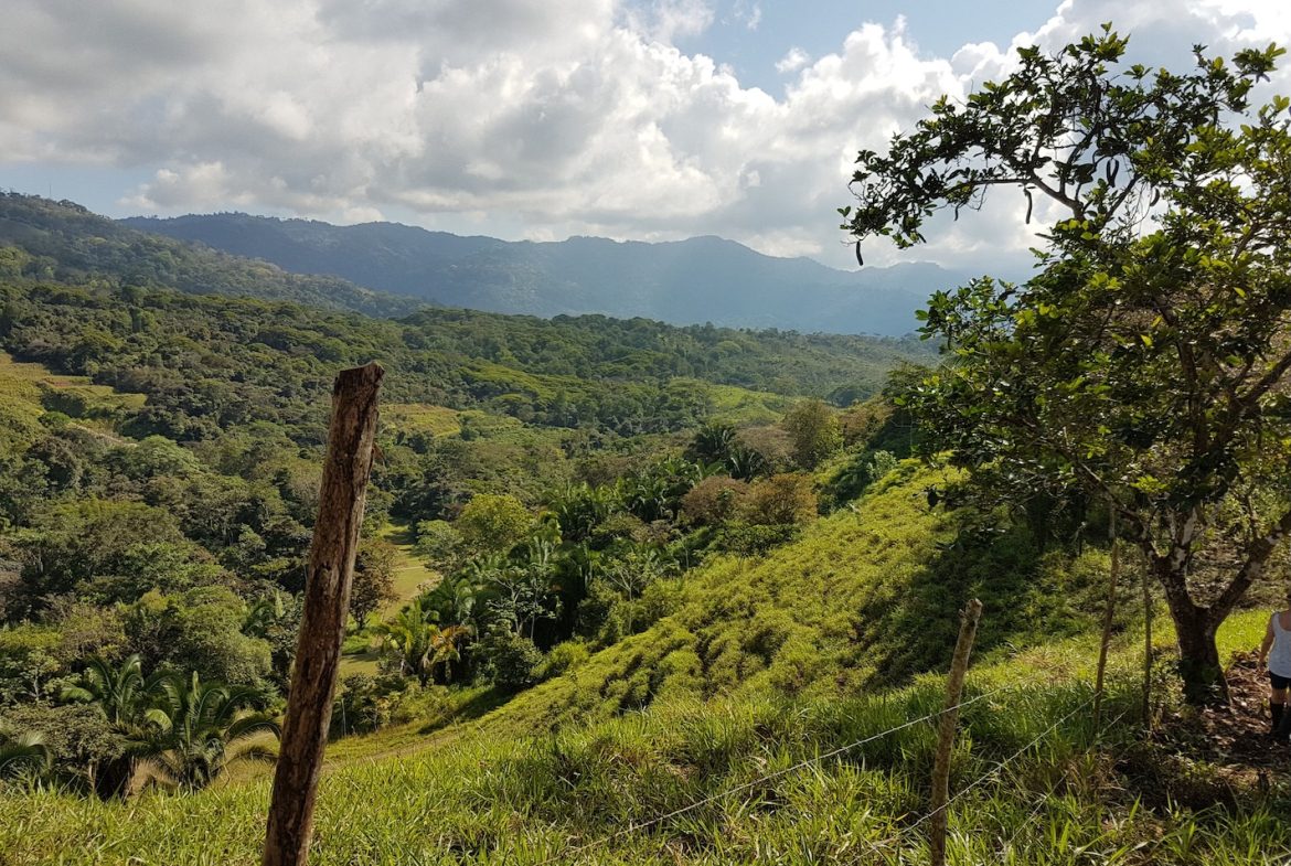 BUILDING PROPERTY WITH MOUNTAINS VIEWS, IN TORTUGA ARRIBA OJOCHAL – 1.14 ACRES