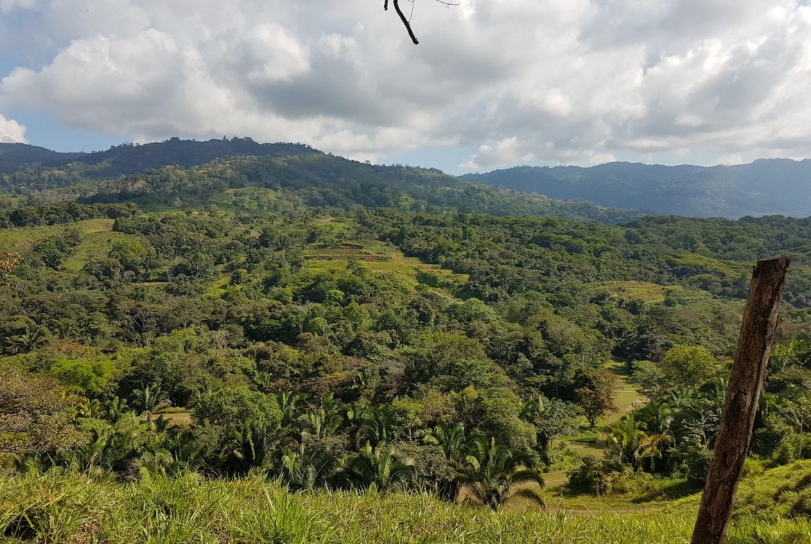 BUILDING PROPERTY WITH MOUNTAINS VIEWS, IN TORTUGA ARRIBA OJOCHAL – 1.14 ACRES