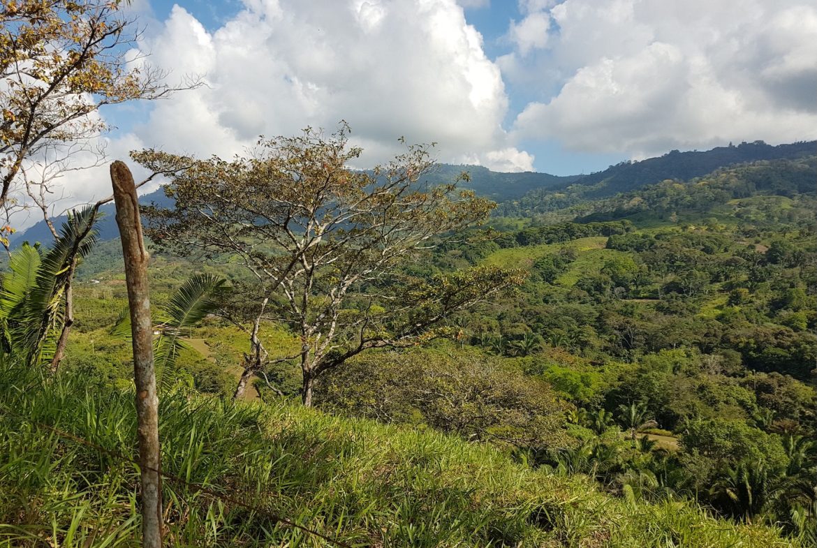 BUILDING PROPERTY WITH MOUNTAINS VIEWS, IN TORTUGA ARRIBA OJOCHAL – 1.14 ACRES