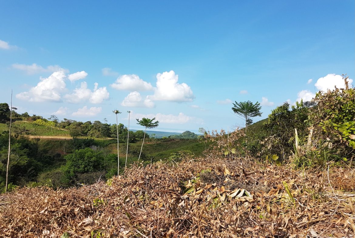 BUILDING PROPERTY WITH MOUNTAINS VIEWS, IN TORTUGA ARRIBA OJOCHAL – 1.14 ACRES