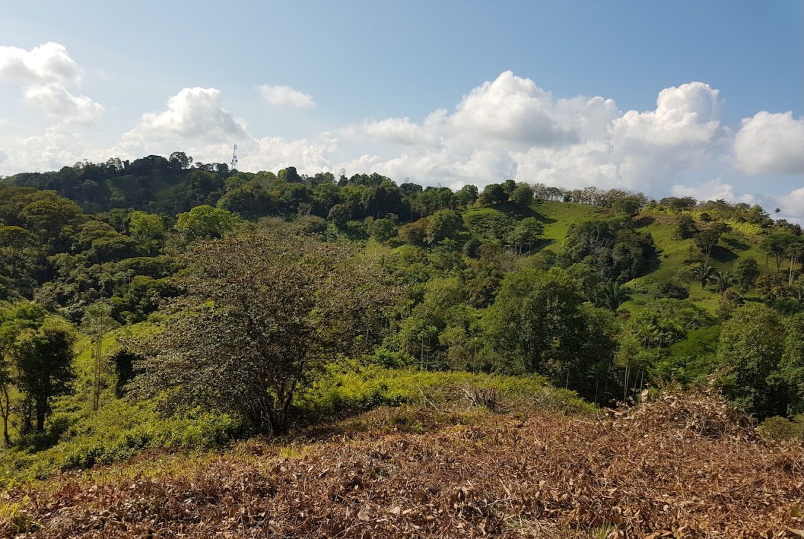 BUILDING PROPERTY WITH MOUNTAINS VIEWS, IN TORTUGA ARRIBA OJOCHAL – 1.14 ACRES