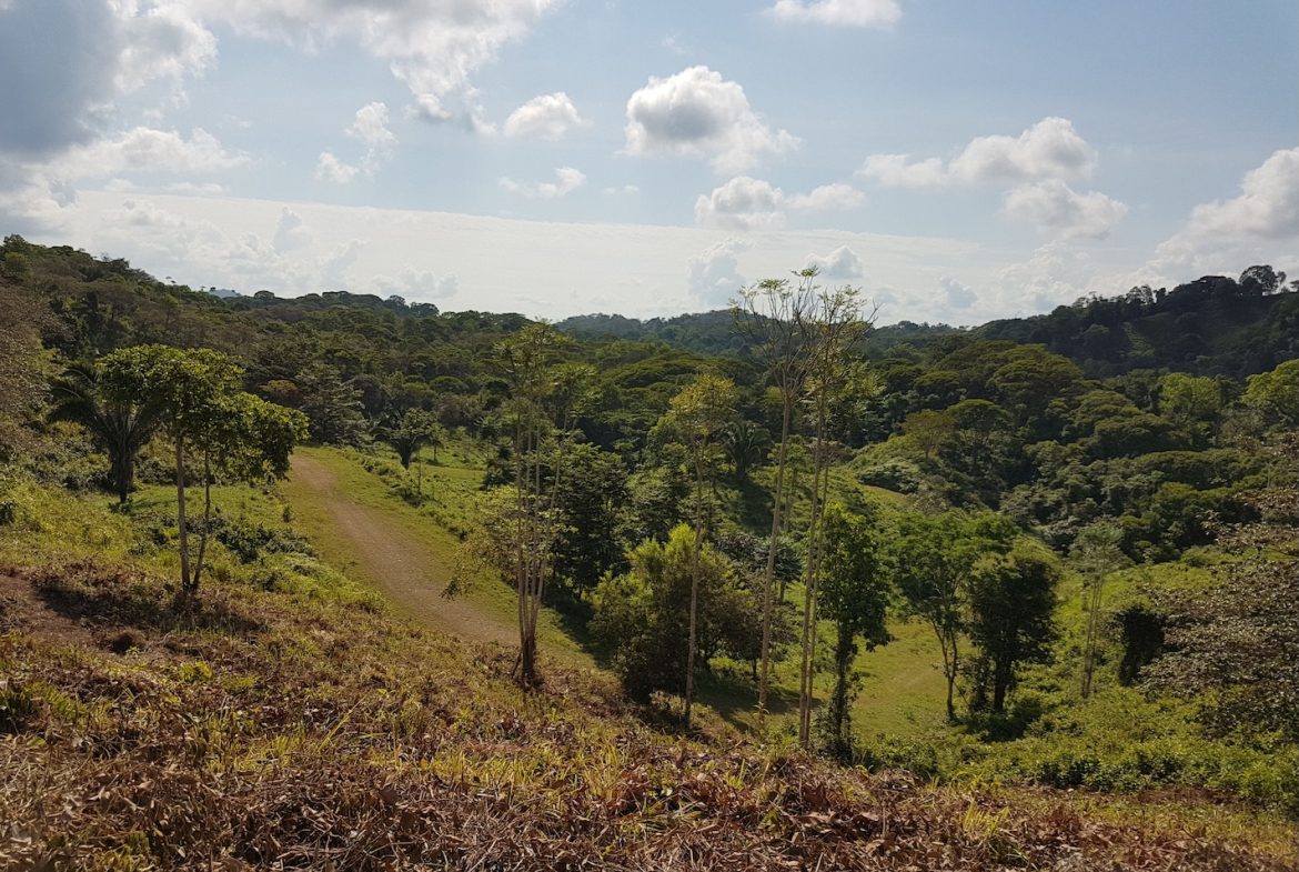 BUILDING PROPERTY WITH MOUNTAINS VIEWS, IN TORTUGA ARRIBA OJOCHAL – 1.14 ACRES