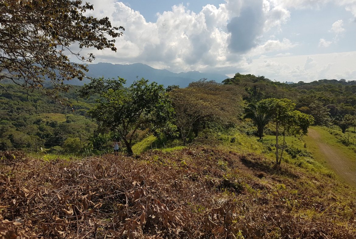BUILDING PROPERTY WITH MOUNTAINS VIEWS, IN TORTUGA ARRIBA OJOCHAL – 1.14 ACRES