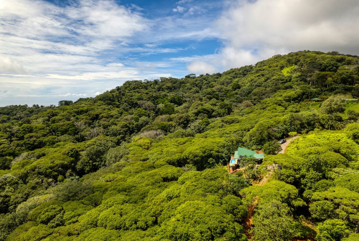 NEW PRIVATE MOUNTAIN HOME WITH OCEAN VIEWS ABOVE LAGUNAS, Uvita, Costa Rica — photo 3