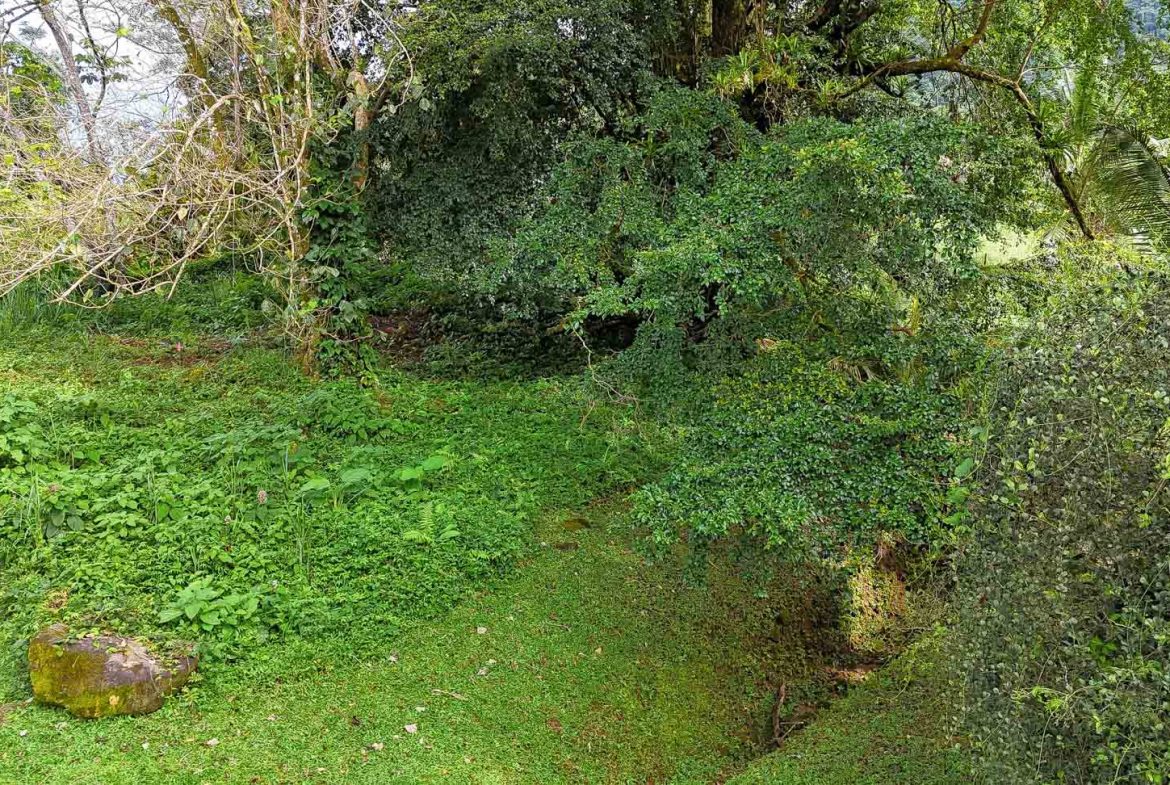 BUILDING PROPERTY WITH PUBLIC ROAD IN FRONT, IN TORTUGA ARRIBA – 0.16 ACRES