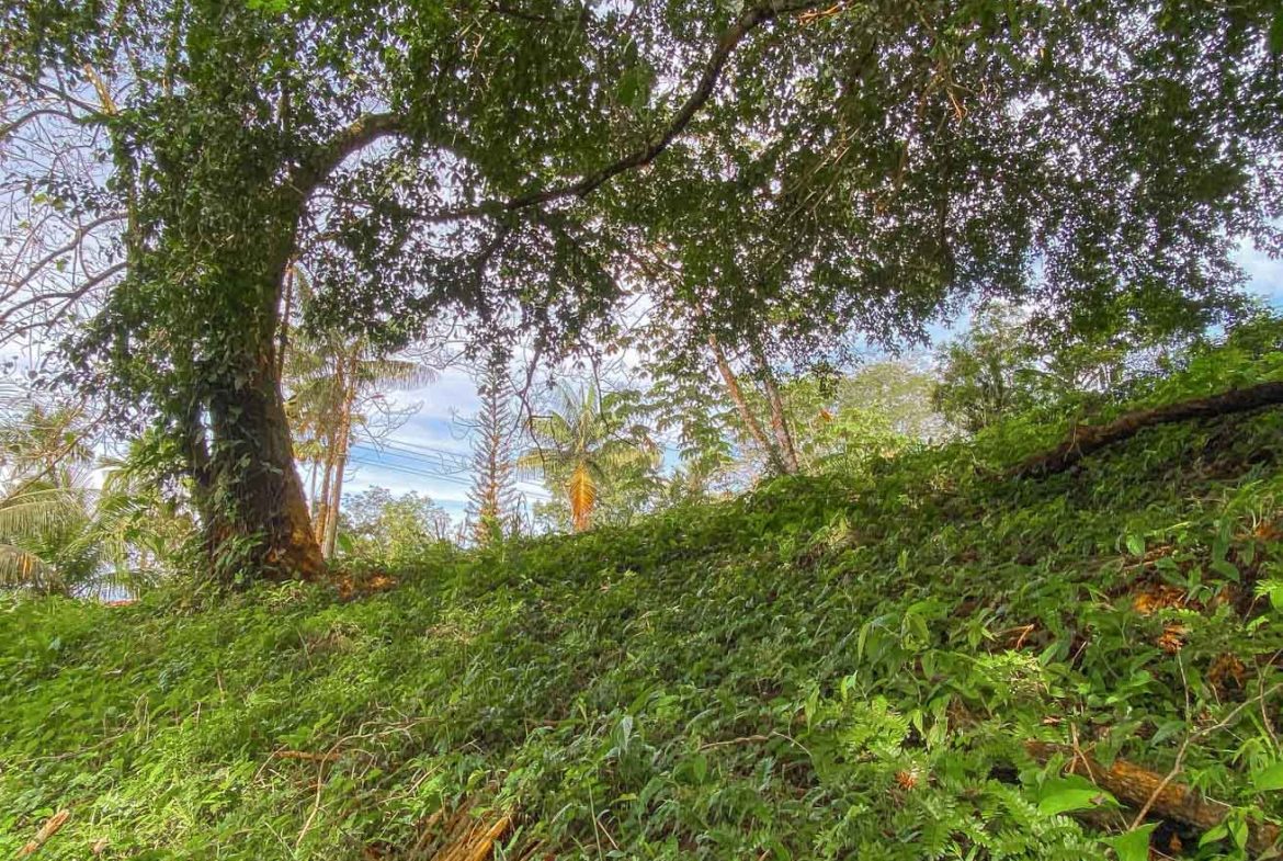 BUILDING PROPERTY WITH PUBLIC ROAD IN FRONT, IN TORTUGA ARRIBA – 0.16 ACRES