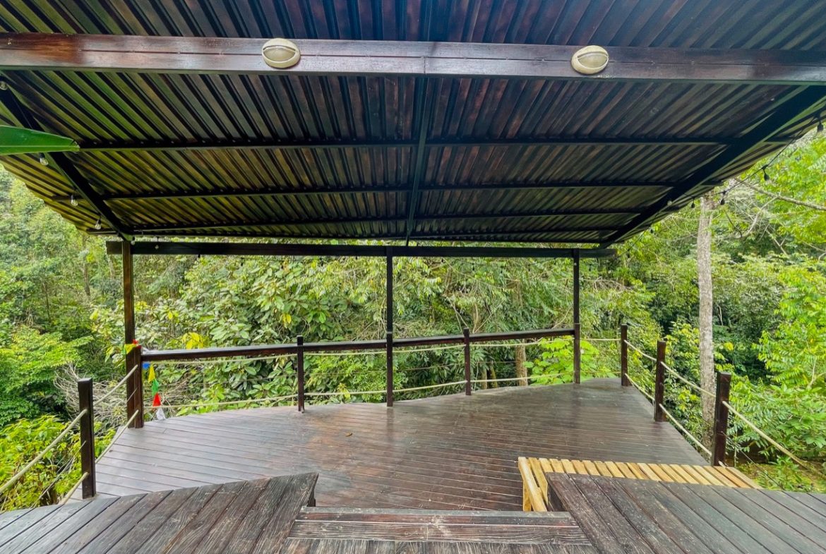 JUNGLE PROPERTY WITH WOOD CABIN  TWO BEDROOM AND POOL, IN OJOCHAL – 1.18 ACRES