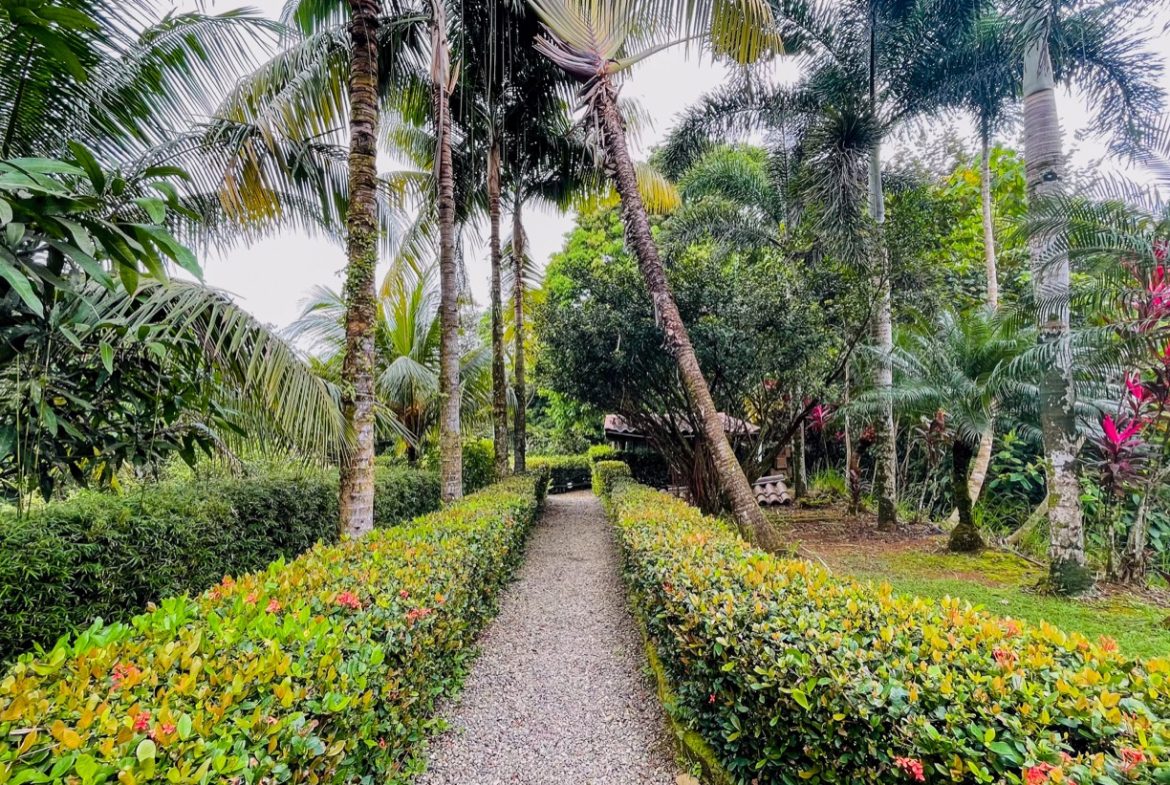 JUNGLE PROPERTY WITH WOOD CABIN  TWO BEDROOM AND POOL, IN OJOCHAL – 1.18 ACRES