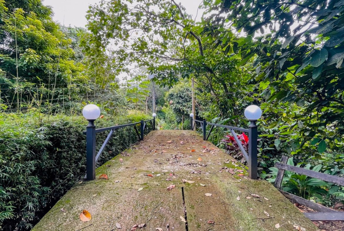 JUNGLE PROPERTY WITH WOOD CABIN  TWO BEDROOM AND POOL, IN OJOCHAL – 1.18 ACRES