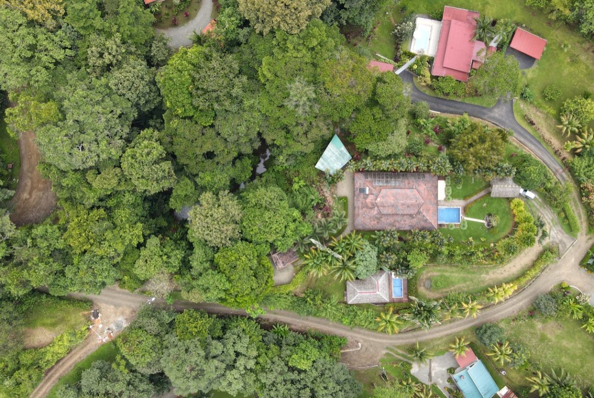 JUNGLE PROPERTY WITH WOOD CABIN  TWO BEDROOM AND POOL, IN OJOCHAL – 1.18 ACRES
