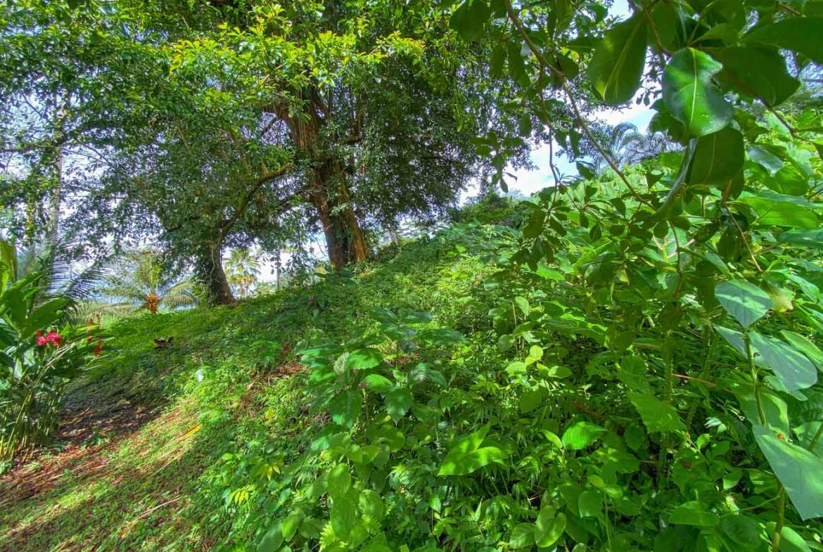 BUILDING PROPERTY WITH PUBLIC ROAD IN FRONT, IN TORTUGA ARRIBA – 0.16 ACRES