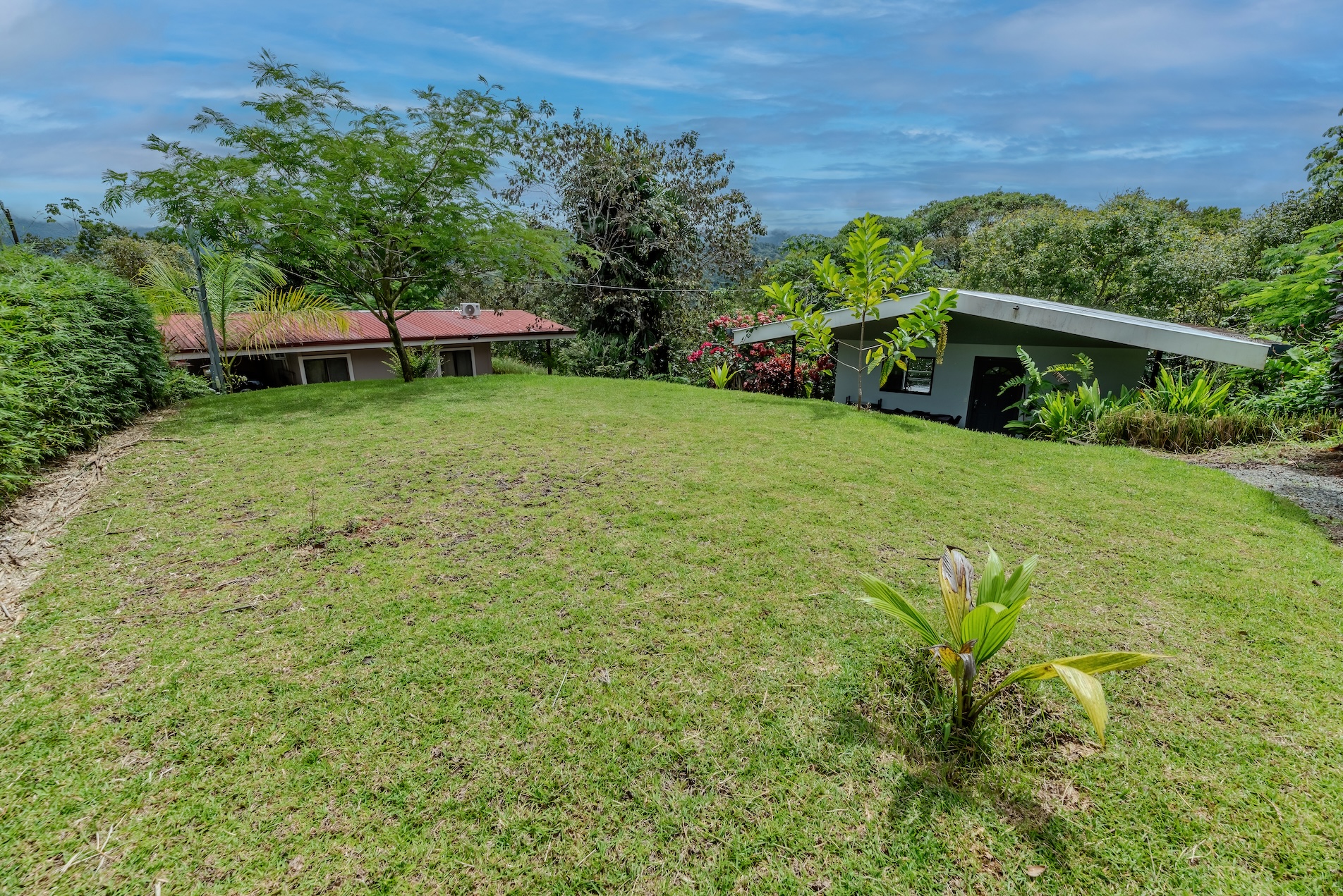 BZ-AU-DO CC Platanillo-04 (1)