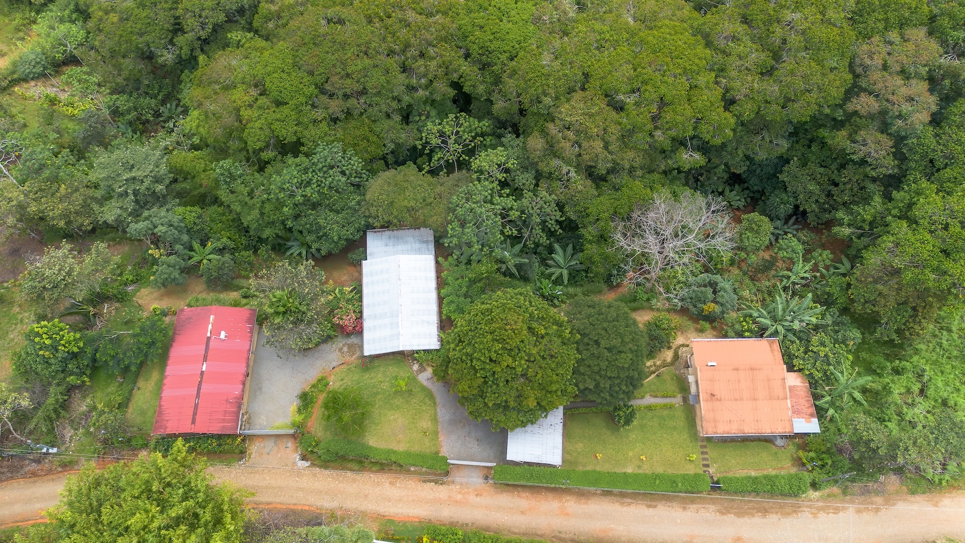 BZ-AU-DO CC Platanillo-05 (1)