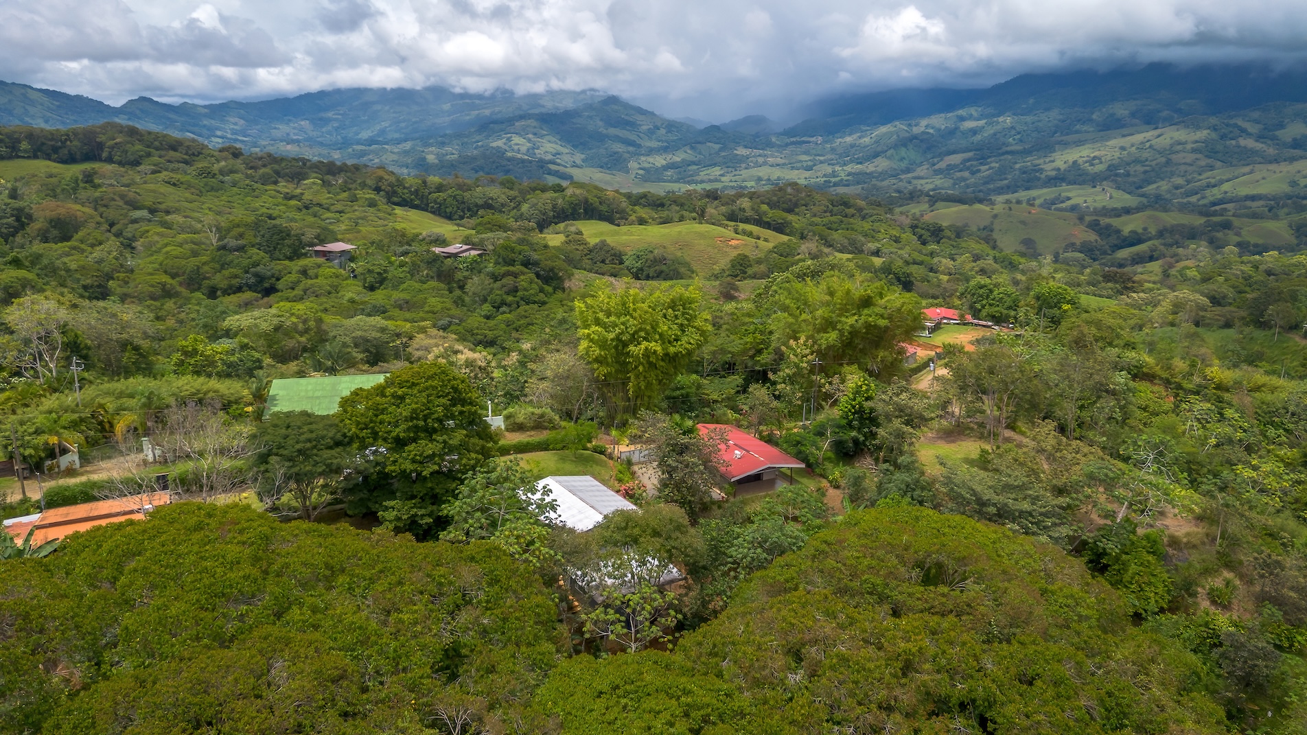 BZ-AU-DO CC Platanillo-13 (1)