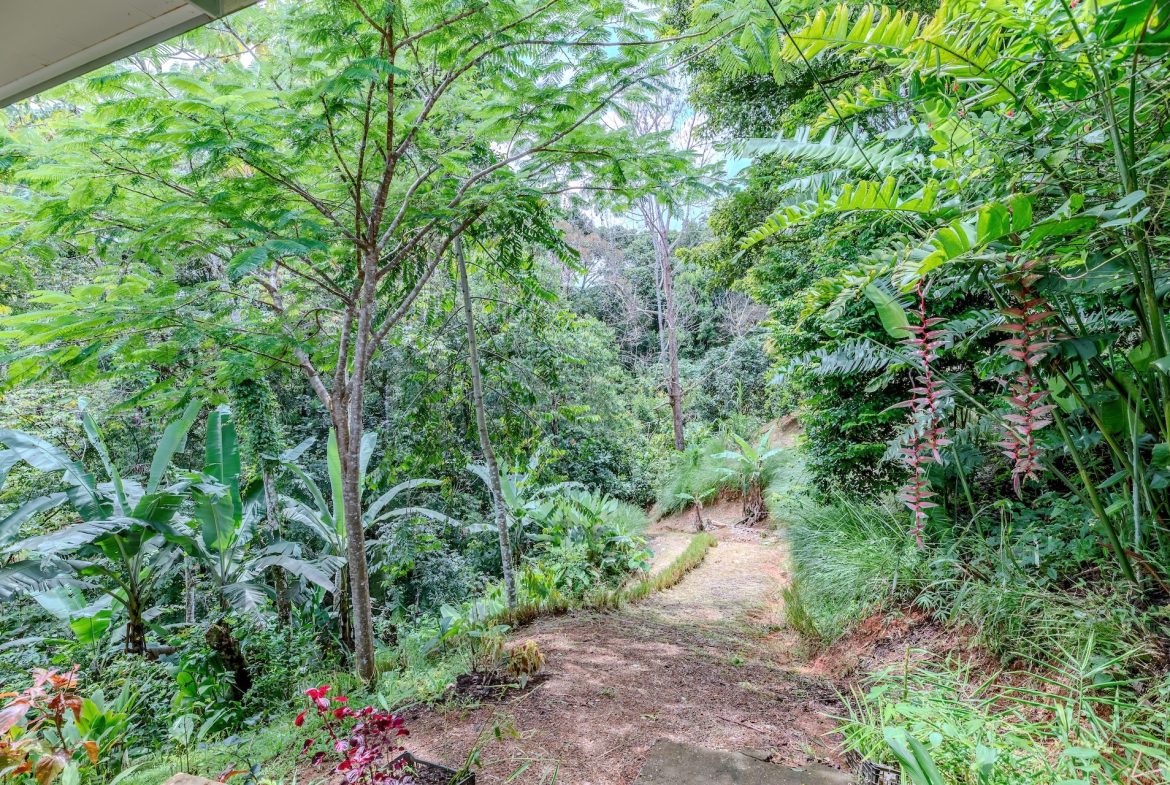 PROPERTY FOR A MULTI FAMILY WITH FOUR HOUSES, IN PLATANILLO – 1.21 ACRES