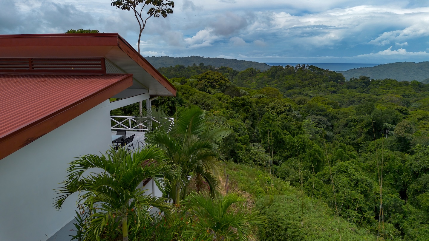 BZ-DO Platanillo-07 (1)