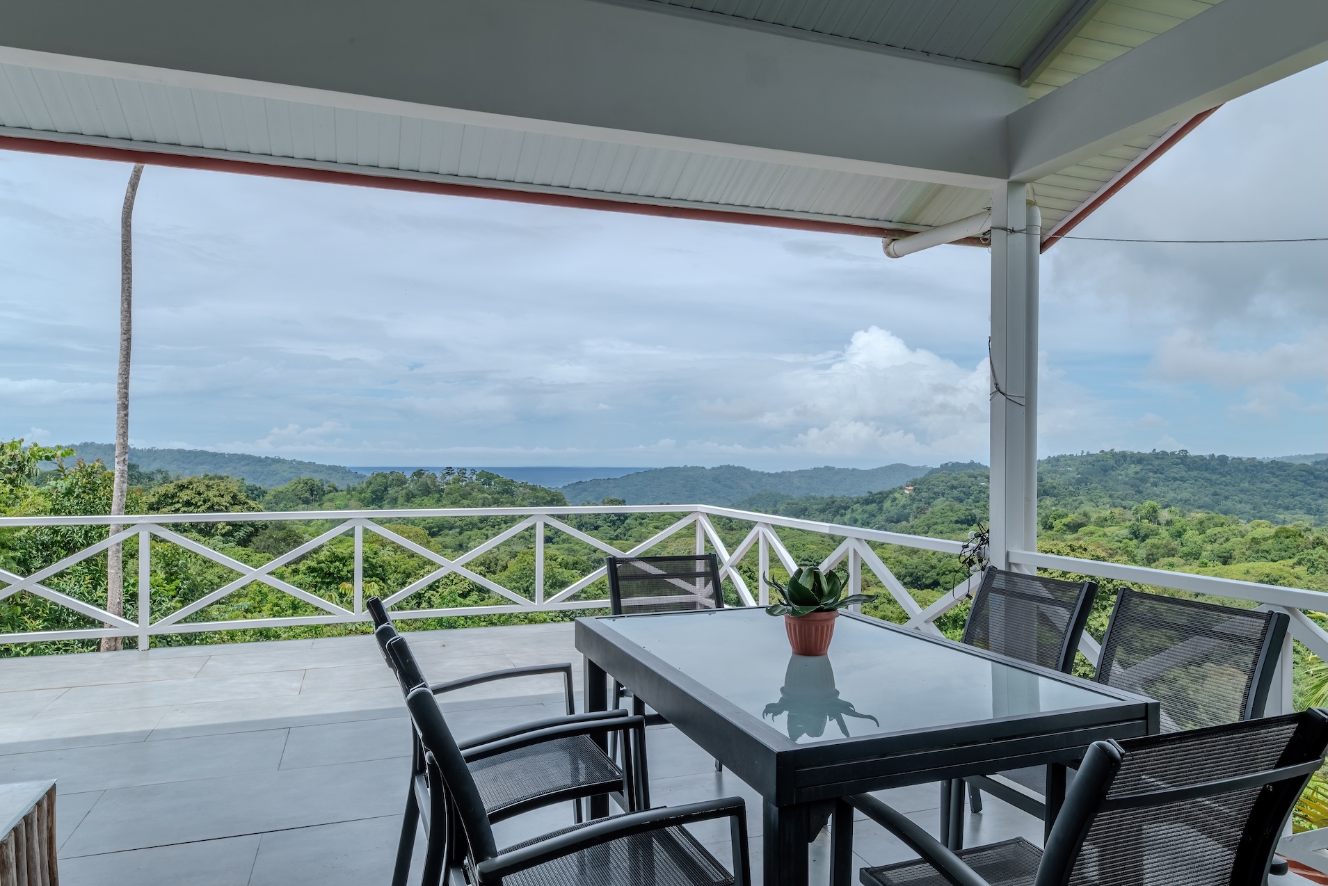 BZ-DO Platanillo-10 (1)