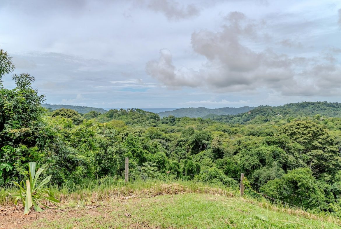 PROPERTY WITH TWO BEDROOM AND PANORAMIC MOUNTAINS VIEWS CASA BLANCA, IN PLATANILLO – 0.99 ACRES