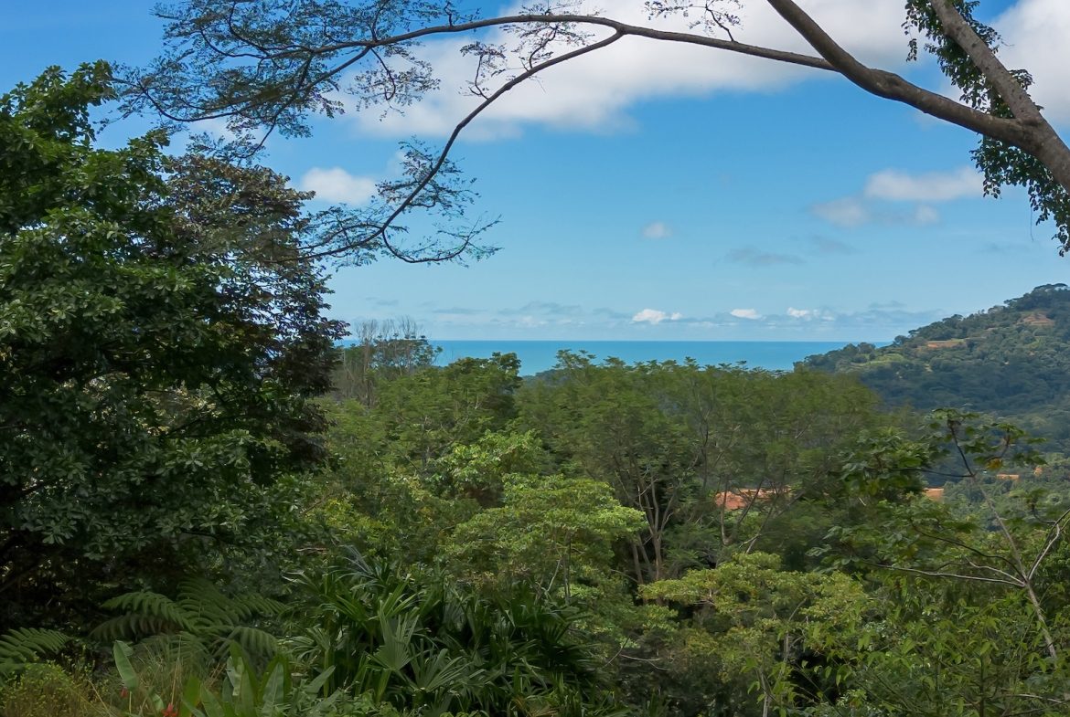TWO FLOOR PROPERTY WITH A LANDSCAPING VIEWS AND OCEAN, IN TRES RIOS – 3.9 ACRES