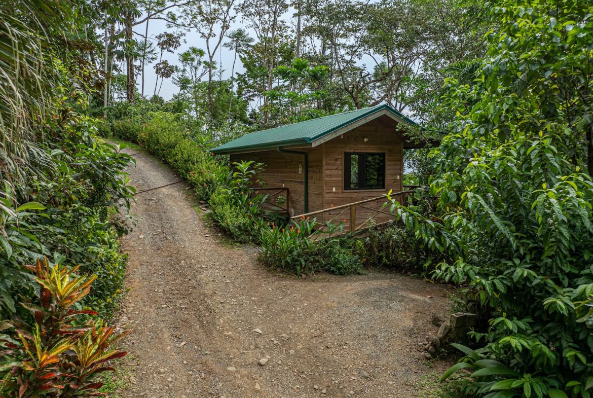 JUNGLE BOUTIQUE HOTEL WITH TWELVE BEDROOMS AND MOUNTAINS VIEWS, IN BAHIA – 7.17 ACRES