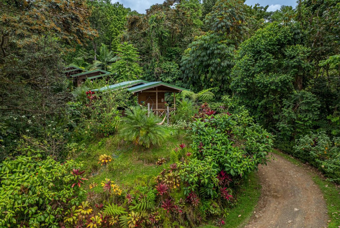 JUNGLE BOUTIQUE HOTEL WITH TWELVE BEDROOMS AND MOUNTAINS VIEWS, IN BAHIA – 7.17 ACRES