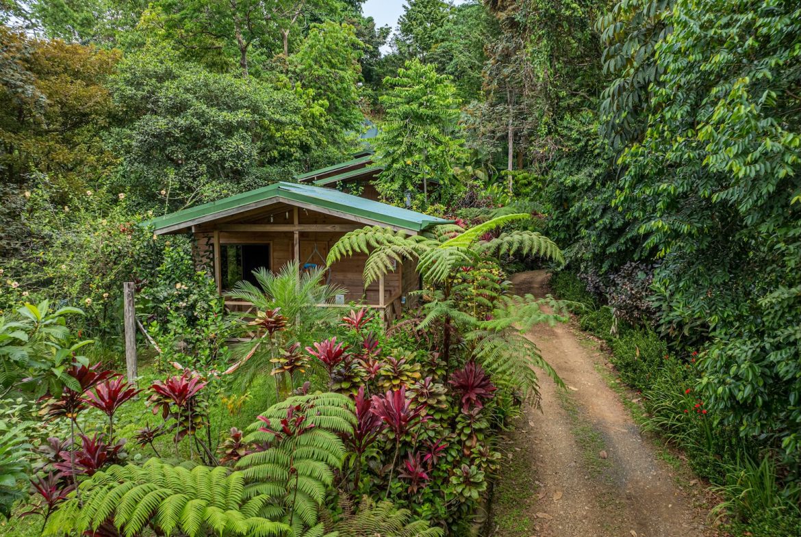 JUNGLE BOUTIQUE HOTEL WITH TWELVE BEDROOMS AND MOUNTAINS VIEWS, IN BAHIA – 7.17 ACRES
