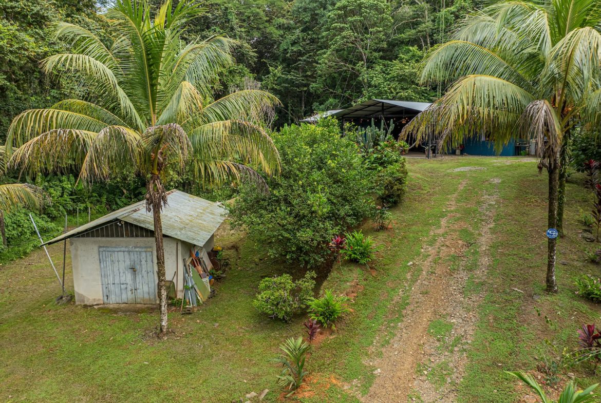 JUNGLE PROPERTY WITH EXTRA BUILDING LOTE A STEPS OF THE RIVER, IN CINCO VENTANAS OJOCHAL – 6.93 ACRES, Uvita, Costa Rica — photo 3