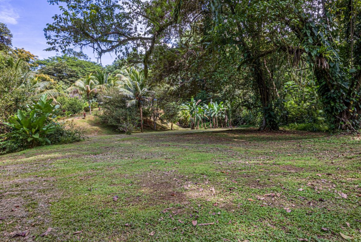 JUNGLE PROPERTY WITH EXTRA BUILDING LOTE A STEPS OF THE RIVER, IN CINCO VENTANAS OJOCHAL – 6.93 ACRES