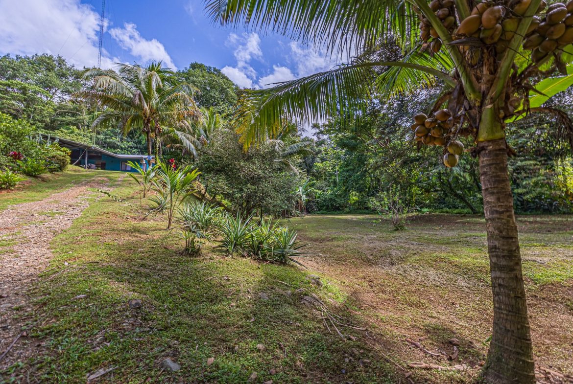 JUNGLE PROPERTY WITH EXTRA BUILDING LOTE A STEPS OF THE RIVER, IN CINCO VENTANAS OJOCHAL – 6.93 ACRES
