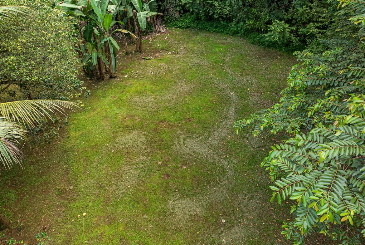 JUNGLE PROPERTY WITH EXTRA BUILDING LOTE A STEPS OF THE RIVER, IN CINCO VENTANAS OJOCHAL – 6.93 ACRES