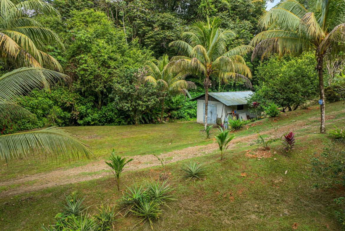 JUNGLE PROPERTY WITH EXTRA BUILDING LOTE A STEPS OF THE RIVER, IN CINCO VENTANAS OJOCHAL – 6.93 ACRES
